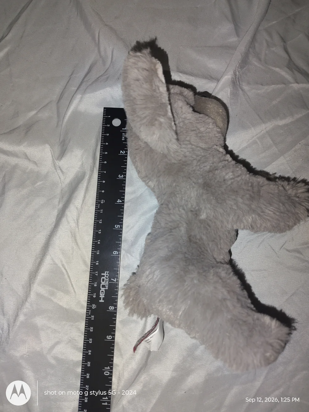 Douglas soft gray